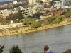 Perth Kings Park Emmi looking at the city