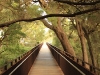 Kings Park, Perth