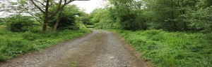 Scotland Lane Scotland